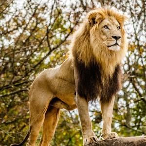 Meet your Posher, Miguel